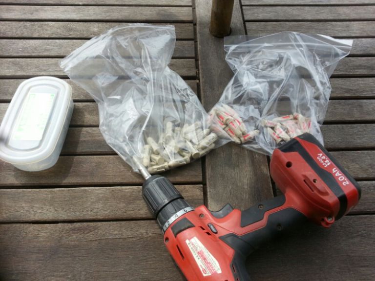 소나무해충방제