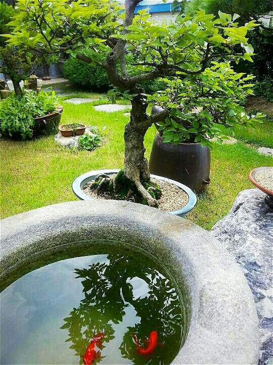 생의 한가운데2