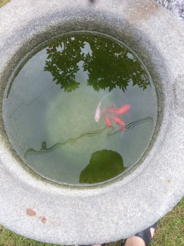 생의 한가운데1