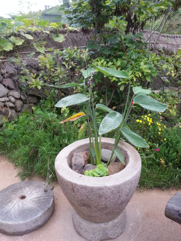 소품(나무의 마음)